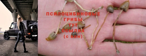 не бодяженный Алзамай