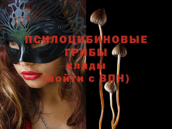шишки Алексин