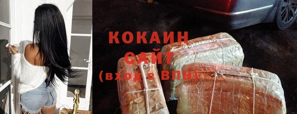 шишки Алексин